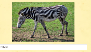 Изображение выглядит как текст, трава, млекопитающее, зебра

Автоматически созданное описание